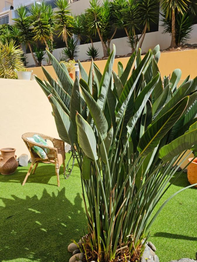 New Holiday Home Beautiful Sea View With Aircon, Costa Adeje アデヘ エクステリア 写真